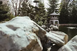 Японский сад &copy;&nbsp;Антон Быков, Юга.ру