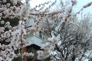  &copy;&nbsp;Фото Марины Солошко, Юга.ру