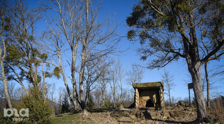  © Фото Елены Синеок, Юга.ру