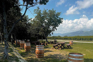  &copy;&nbsp;Фото пресс-службы винодельни &laquo;Шато де Талю&raquo;, instagram.com/chateau_de_talu