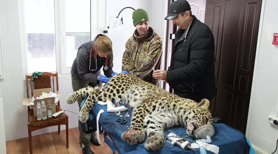  &copy;&nbsp;Фото пресс-службы Сочинского нацпарка