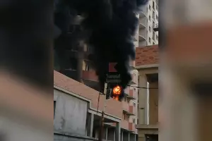  &copy;&nbsp;Скриншот видео из телеграм-канала &laquo;Типичный Краснодар&raquo;, t.me/krd_tipich_ru