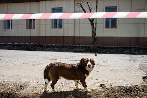 Краснодар на карантине &copy;&nbsp;Фото Евгения Мельченко, Юга.ру