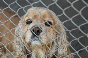  &copy;&nbsp;Фото Елены Синеок, Юга.ру