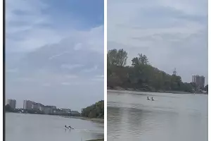  &copy;&nbsp;Скриншот из телеграм-канала &laquo;Горогороды&raquo; https://t.me/GorOgorodi/540