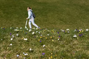 Парк «Краснодар»  &copy;&nbsp;Фото Елены Синеок, Юга.ру