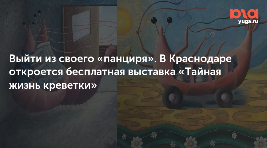 Выйти из своего «панциря». В Краснодаре откроется бесплатная выставка «Тайная жизнь креветки»