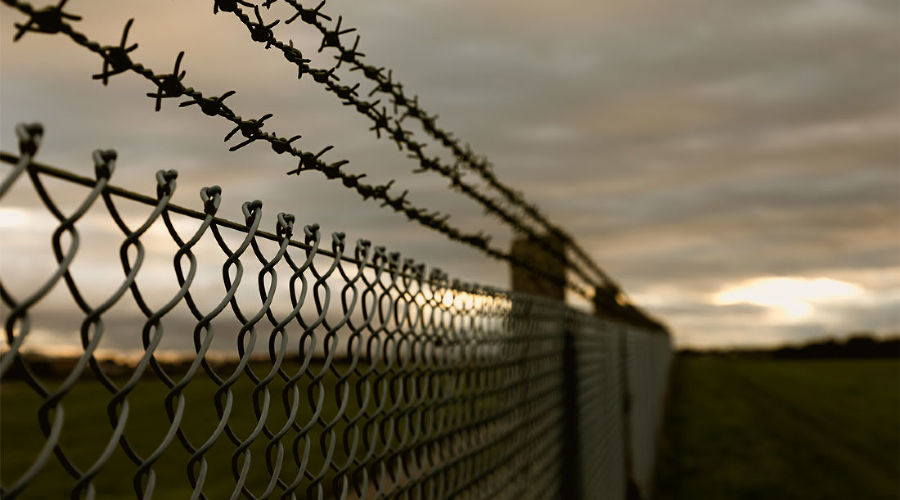  © Фото mb-photoarts, freepik.com