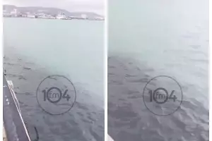  &copy;&nbsp;Скриншот из телеграм-канала &laquo;Радио 104FM&raquo; https://t.me/NR_novosti/39934