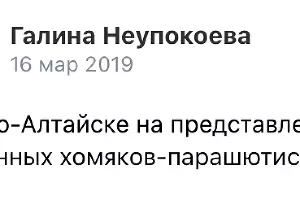  &copy;&nbsp;Скриншот группы &laquo;Вконтакте&raquo; https://m.vk.com/id387556634