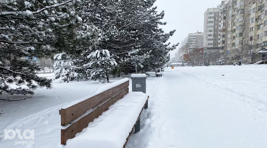  &copy;&nbsp;Фото Валерии Дульской, Юга.ру