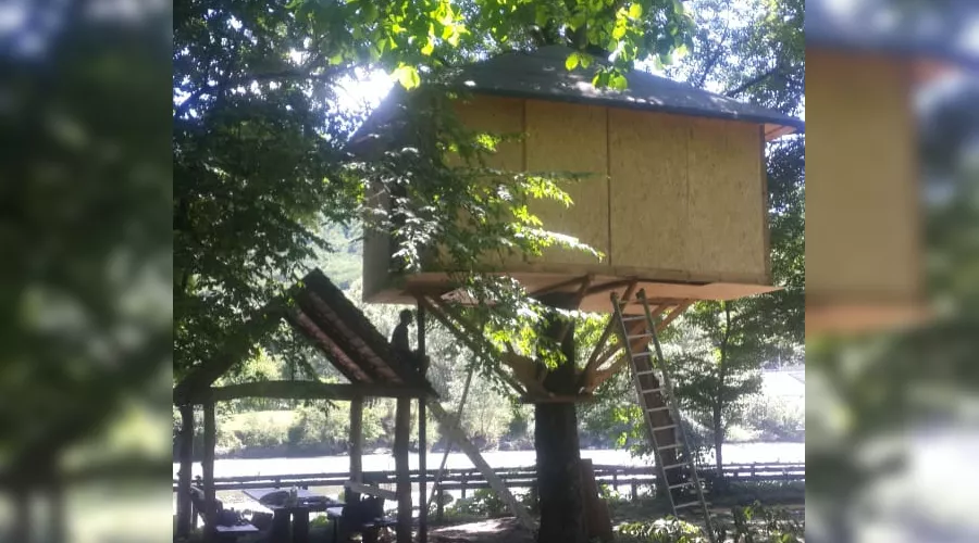  &copy;&nbsp;Фото Максима Богатырева