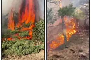  &copy;&nbsp;Скриншот из телеграм-канала &laquo;Тут Дагестан&raquo; https://t.me/tutdagestan_05/15631