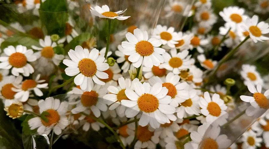  &copy;&nbsp;Фото Андрея Малёваного