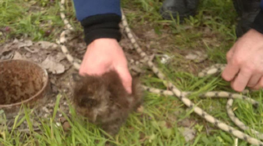  &copy;&nbsp;Фото из инстаграма Алексея Одерова, instagram.com/alekseioderov