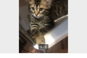  © Скриншот из инстаграма «Типичный Краснодар», instagram.com/tipich__krd/