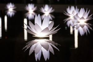 Парк «Краснодар»  с новогодней подсветкой &copy;&nbsp;Фото Елены Синеок, Юга.ру