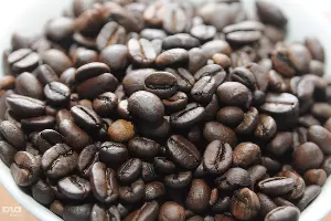 Открытие фабрики растворимого кофе Nescafe на Кубани &copy;&nbsp;Фото Елены Синеок, Юга.ру