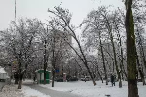  &copy;&nbsp;Фото Дмитрия Пославского, Юга.ру