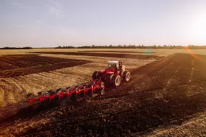  &copy;&nbsp;Фото с сайта DTF