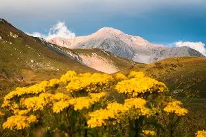 Лагонакское нагорье и Фишт-Оштенский горный массив &copy;&nbsp;Фото Елены Синеок, Юга.ру