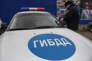  &copy;&nbsp;Фото Елены Синеок, Юга.ру