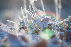  &copy;&nbsp;Фото Елены Синеок, Юга.ру