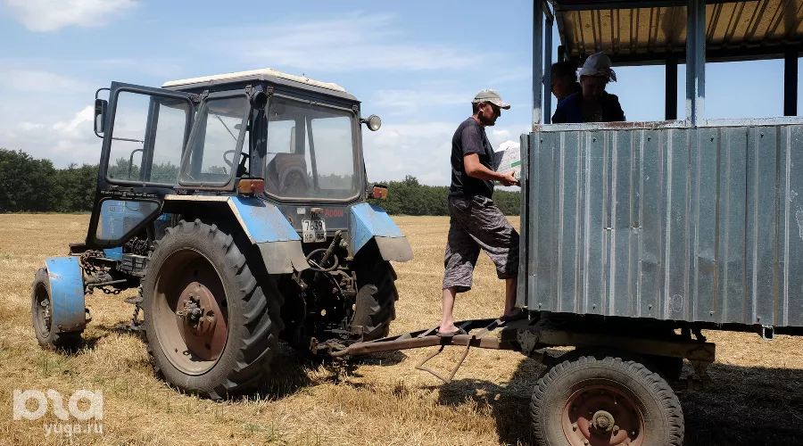 Уборка урожая пшеницы на Кубани &copy;&nbsp;Николай Хижняк, ЮГА.ру