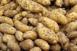  &copy;&nbsp;Фото с сайта pixabay.com