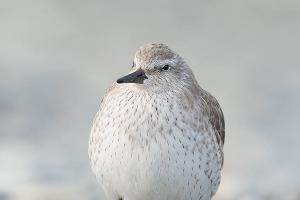  © facebook.com/alexshkolny