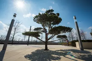 Парк «Краснодар»  &copy;&nbsp;Фото Елены Синеок, Юга.ру