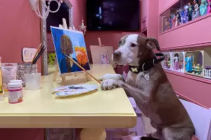  &copy;&nbsp;Фото предоставлено музеем &laquo;У Барбары Робертс&raquo;