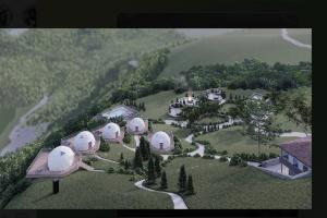  © Скриншот фото из телеграм-канала Сергея Меняйло