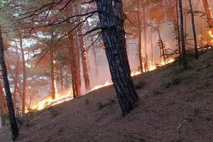  &copy;&nbsp;Скриншот фото из телеграм-канала &laquo;Оперативный штаб - Краснодарский край&raquo;