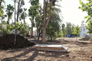 Сквер &laquo;Студенческий&raquo; &copy;&nbsp;Фото пресс-службы администрации Краснодара