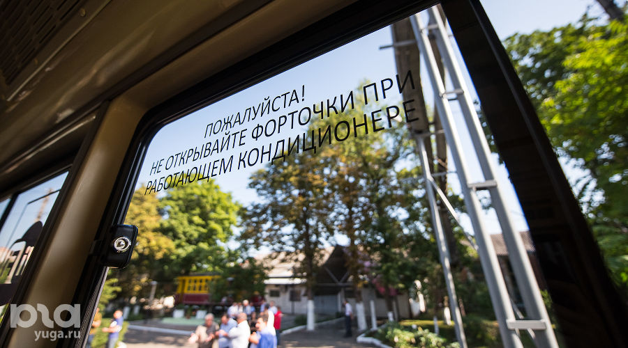  © Фото Елены Синеок, Юга.ру