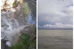  &copy;&nbsp;Скриншот из телеграм-канала &laquo;Глебовский округ&raquo; https://t.me/glebovskiyokrug_actual_nvrsk/5576?single