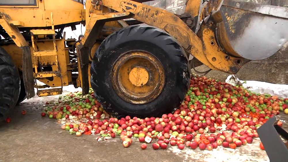 Уничтожение санкционных продуктов © Фото пресс-службы МВД Рязани