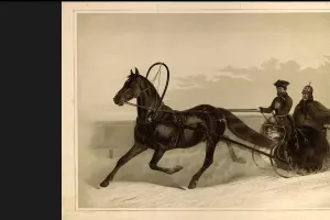 Император Николай I, едущий в одноместных санях, неизвестный гравер, 1853 год, работа хранится в Эрмитаж &copy;&nbsp;Скриншот изображения с сайта www.hermitagemuseum.org