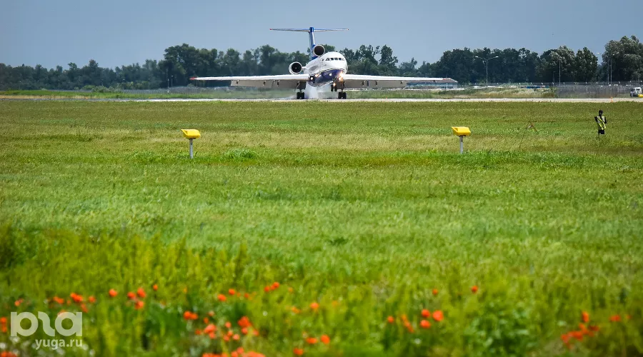  &copy;&nbsp;Фото Елены Синеок, Юга.ру