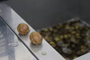  &copy;&nbsp;Фото Марины Солошко, Юга.ру