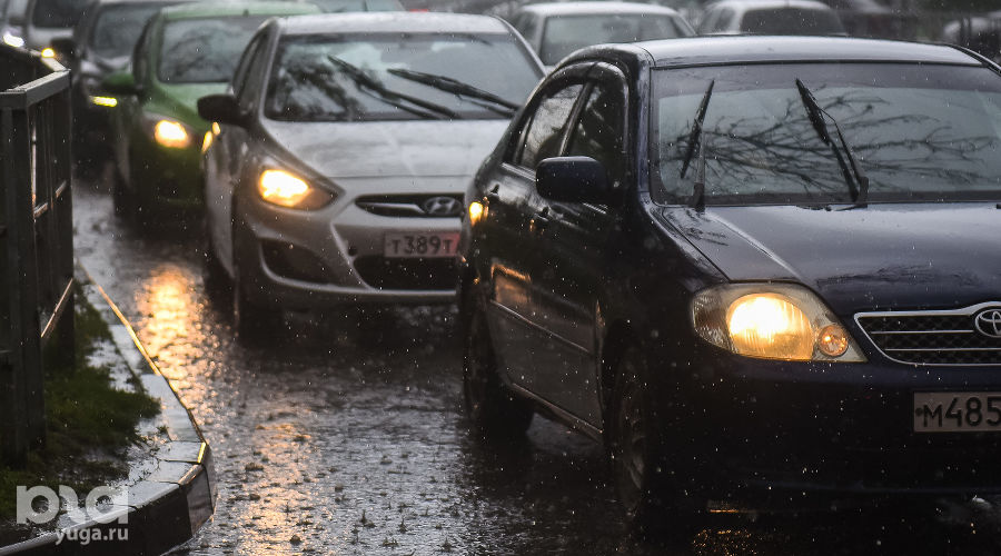  © Фото Елены Синеок, Юга.ру