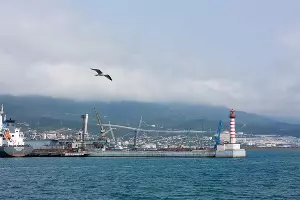  &copy;&nbsp;Фото Даниила Замешаева, unsplash.com