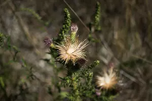 Суджукская лагуна и ее окрестности &copy;&nbsp;Фото Елены Синеок, Юга.ру