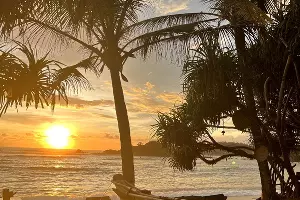 На Шри-Ланке &copy;&nbsp;Фото Иолины Грибковой, Юга.ру