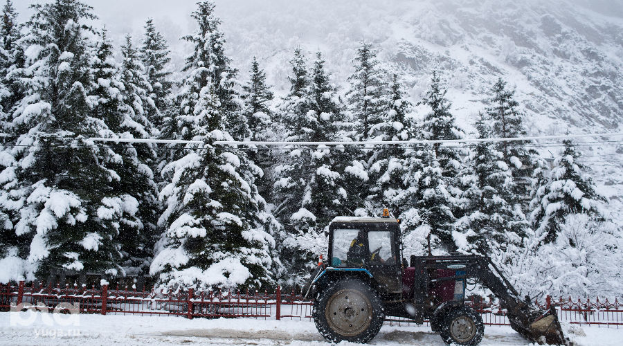  © Фото Антона Подгайко, Юга.ру