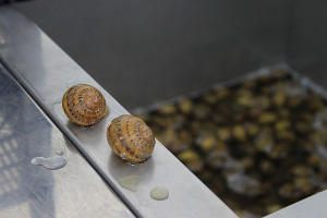  &copy;&nbsp;Фото Марины Солошко, Юга.ру