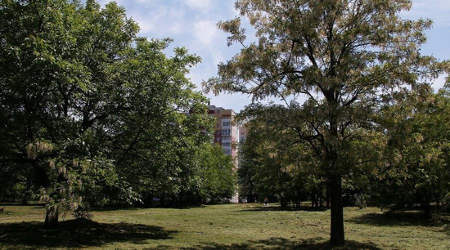  © Фото пресс-службы администрации Краснодара