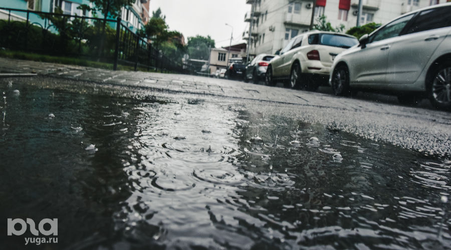  © Фото Елены Синеок, Юга.ру