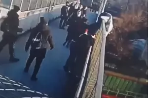  &copy;&nbsp;Скриншот видео из телеграм-канала &laquo;Типичный Краснодар&raquo;, t.me/krd_tipich_ru